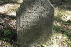 The Jewish Cemetery in Viski