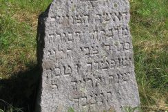 Еврейское кладбище в Вишках