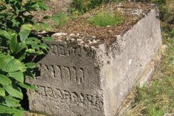 The Jewish Cemetery in Viski