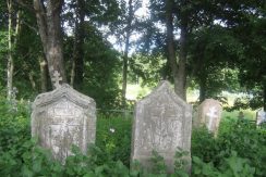 Кладбищенские стелы на Кривошеевском старообрядческом кладбище