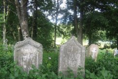 Grave steles at Old Believer’s Cemetery in Krivosejeva