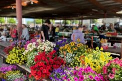 Торгово-развлекательный центр «DITTON»