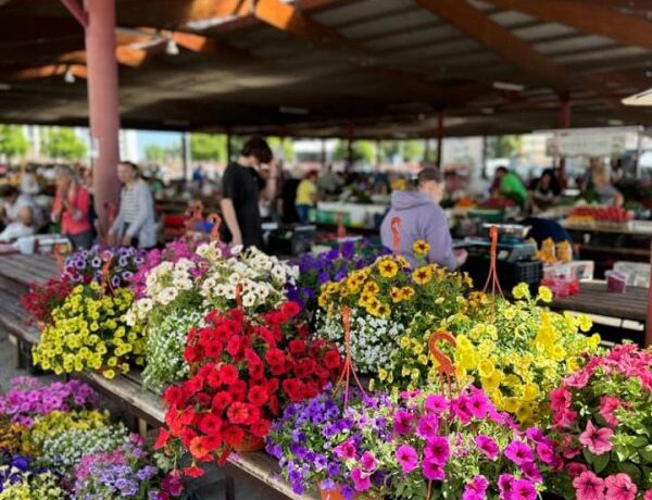 Торгово-развлекательный центр «DITTON»