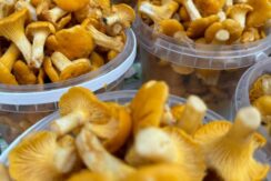 Prekybos ir pramogų centras „DITTON“