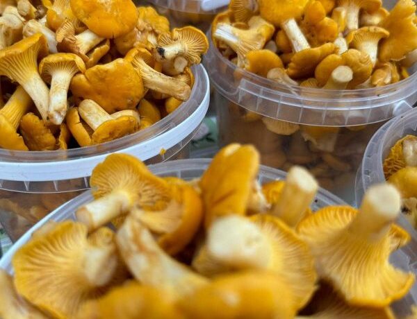 Prekybos ir pramogų centras „DITTON“