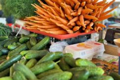 Einkaufs- und Erholungszentrum „DITTON“