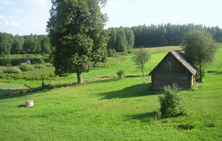 Cottage “Meža skuķi”