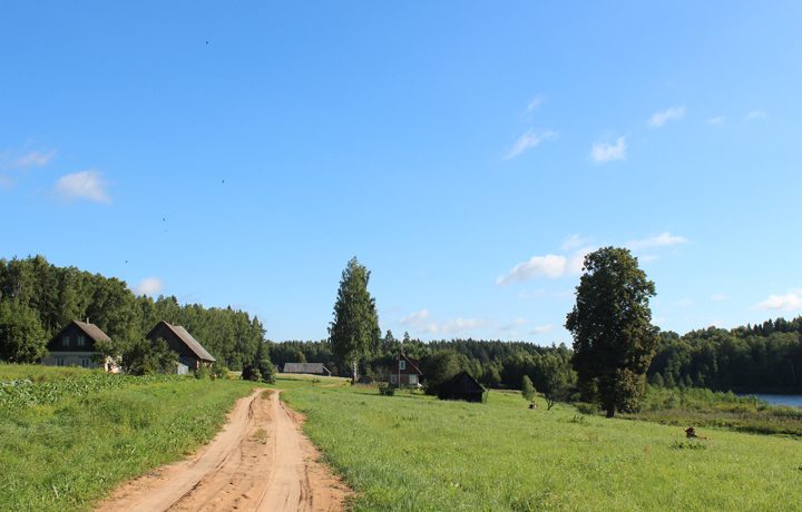 Cottage “Meža skuķi”