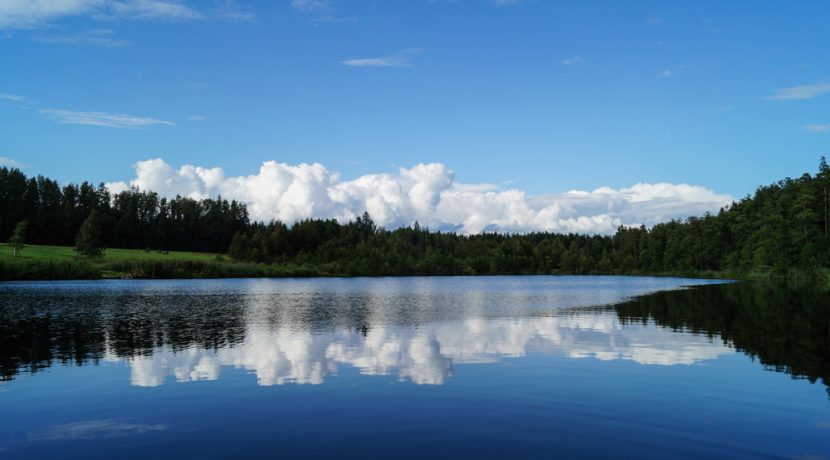 Brīvdienu māja “Meža skuķi”