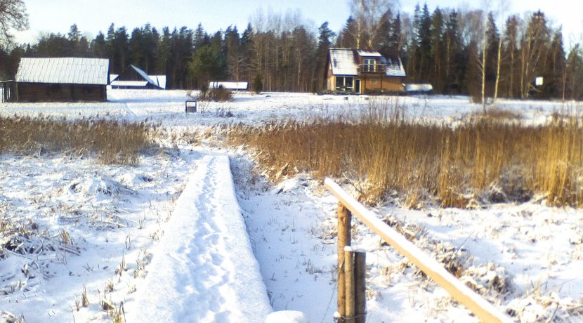 Cottage “Meža skuķi”