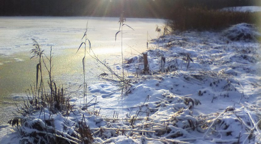 ATOSTOGŲ NAMELIS „MEŽA SKUĶI“