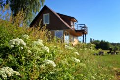 Cottage “Meža skuķi”