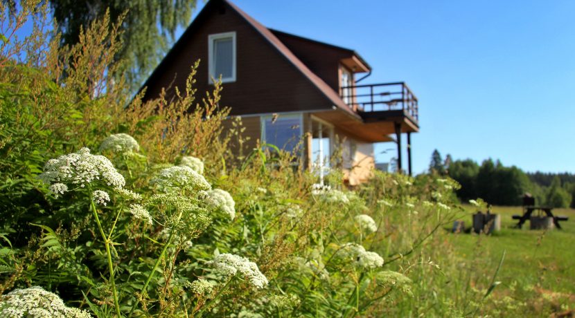 Cottage “Meža skuķi”