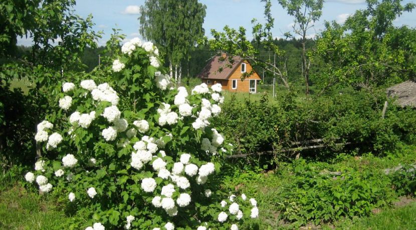 Brīvdienu māja “Meža skuķi”