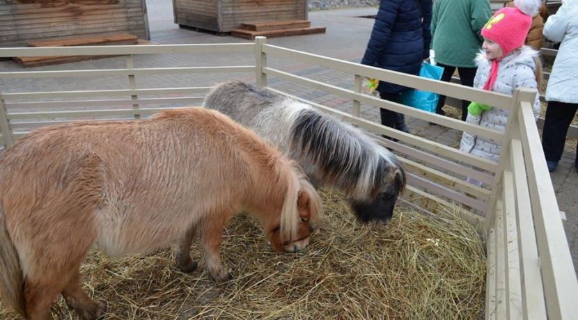 Animal farmstead