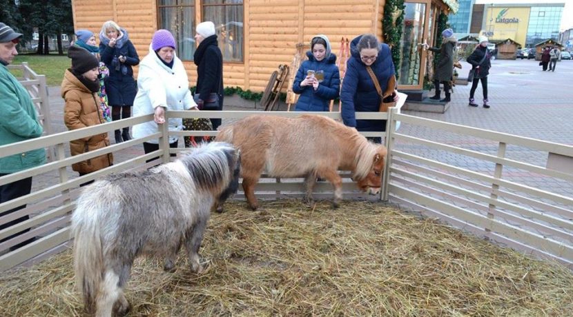 Animal farmstead