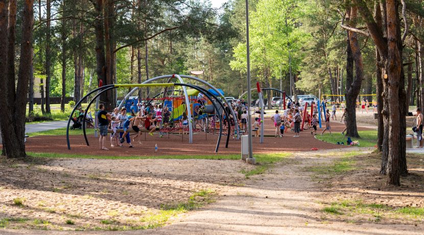 Didelis Stropų ežeras