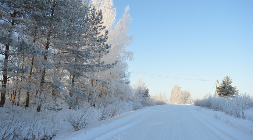 Nature Park “Daugavas Loki”