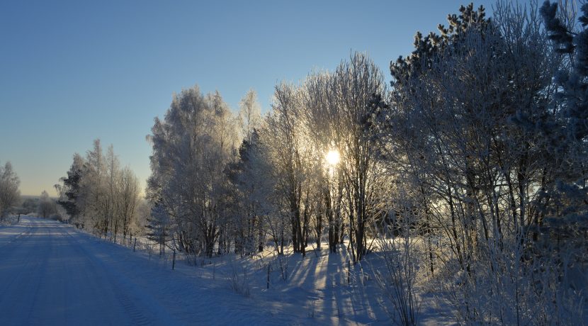 Nature Park “Daugavas Loki”