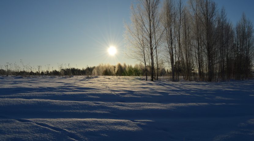 Nature Park “Daugavas Loki”