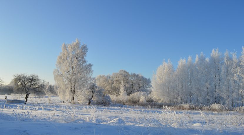 Nature Park “Daugavas Loki”