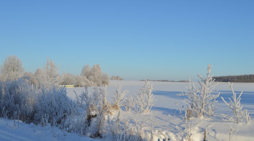 Природный парк Даугавас локи