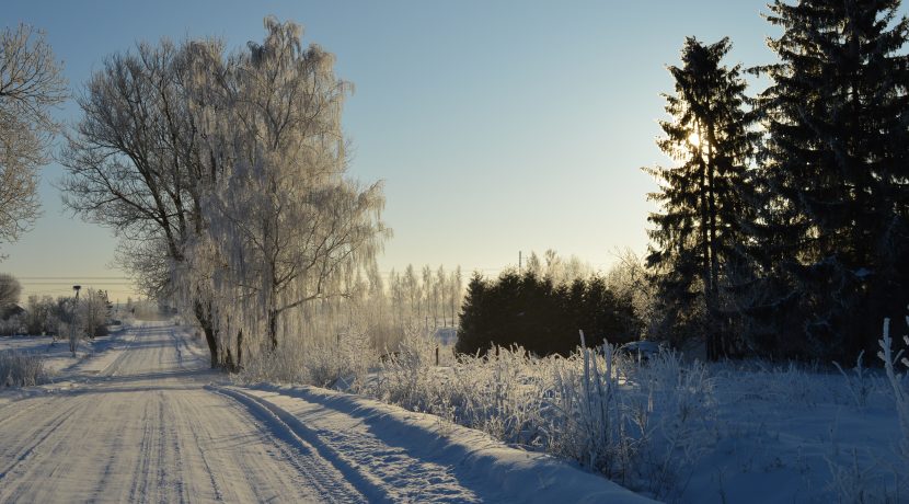 Nature Park “Daugavas Loki”