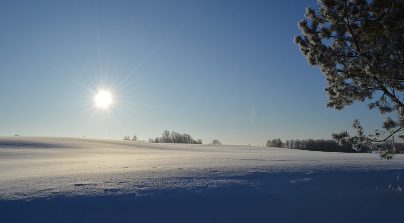 Nature Park “Daugavas Loki”