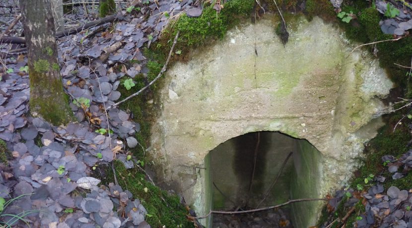 Die Bunker des Ersten Weltkriegs