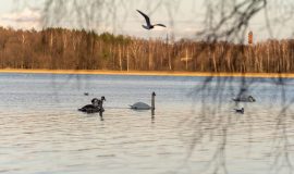 Daugavpils stage of the regional cycle route Nr.35 “Daugavas loki”