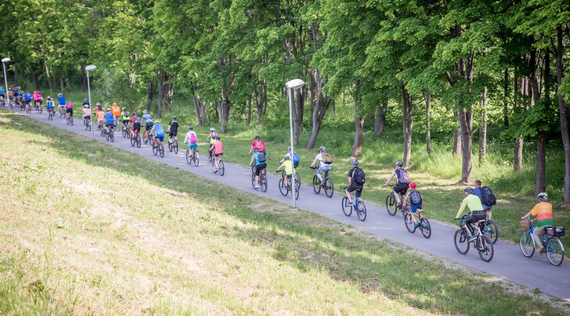 Cycle route No. 35 “Daugavas loki”