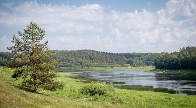 Cycle route No. 35 “Daugavas loki”