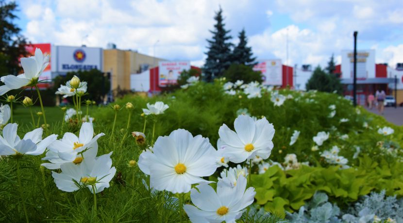 Summertime in Daugavpils