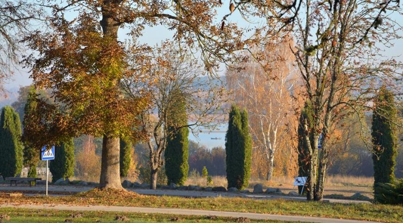 Golden autumn in Višķi