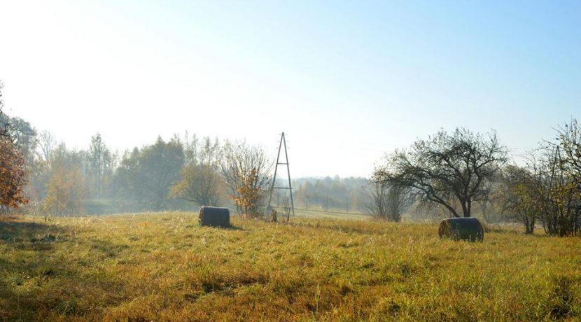 Golden autumn in Višķi