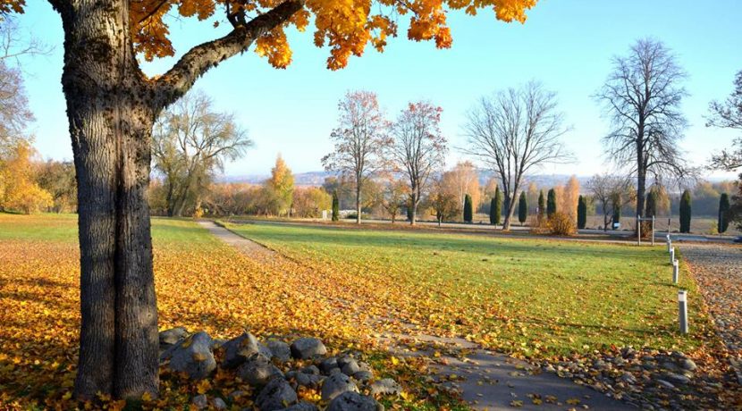 Golden autumn in Višķi