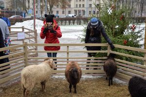 Dzīvnieku sēta Vienības laukumā