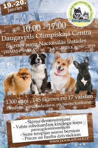 Nacionālā visu šķirņu suņu izstāde “Ziemas pasaka 2019” un “Latgales Kauss 2019”