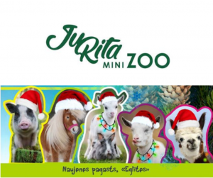 JAUNGADA PROGRAMMA JURITA MINI ZOO