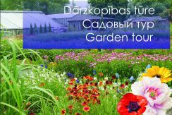 Garden tour