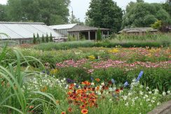 Garden tour