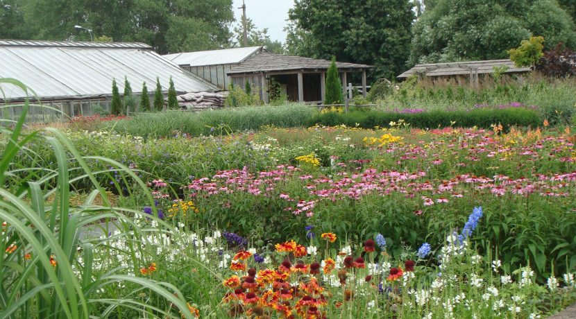 Garden tour