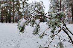 Стропская трасса активного отдыха и спорта