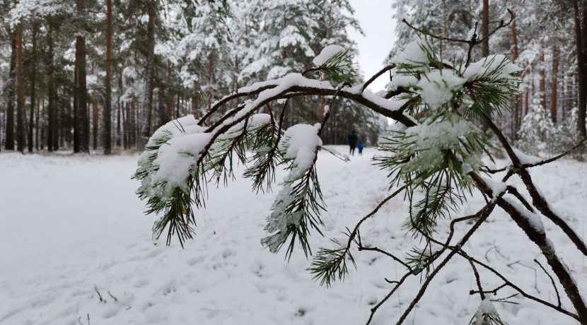 Stropu aktīvās atpūtas un sporta trase