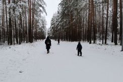 Стропская трасса активного отдыха и спорта