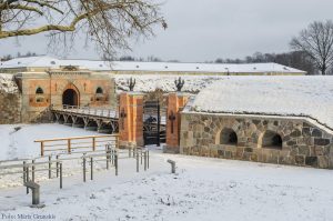 Free Guided Tours for Potential Remigrants