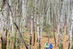 Forest trail “Egļukalns”