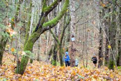 Forest trail “Egļukalns”