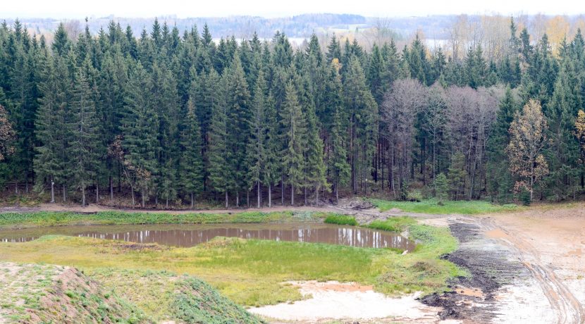 Forest trail “Egļukalns”