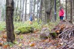 Forest trail “Egļukalns”